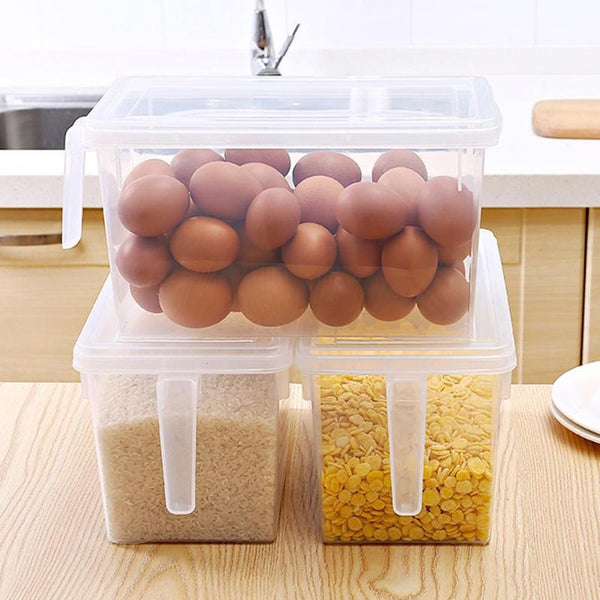 Kitchen Refrigerator Organizer plastic boxes