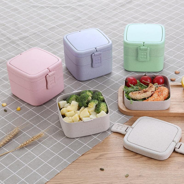 Square Lunch Box With Bag